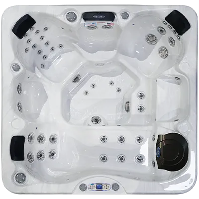 Avalon EC-849L hot tubs for sale in Cathedral City